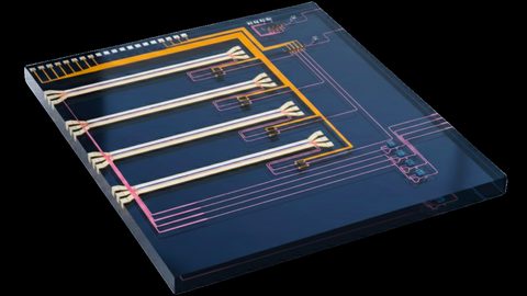 Chip Layout
