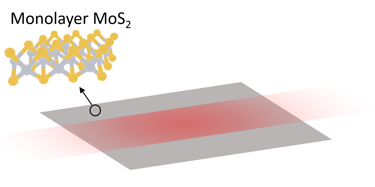 Atomically thin waveguides based on MoS<sub>2</sub> monolayers